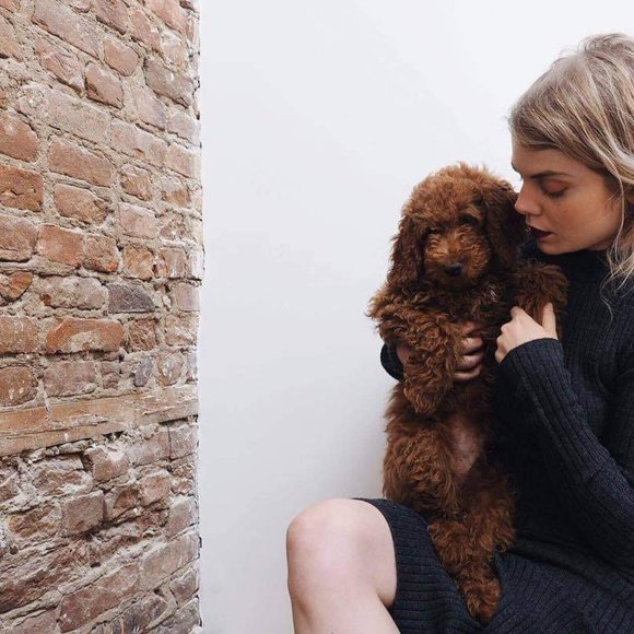 The Leighton Sweater Dress in Dark Grey Heather (XS) - Picture 3 of 3